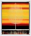 Sunset Silent Grove (Framed)