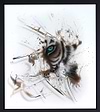 Chancer (Framed)