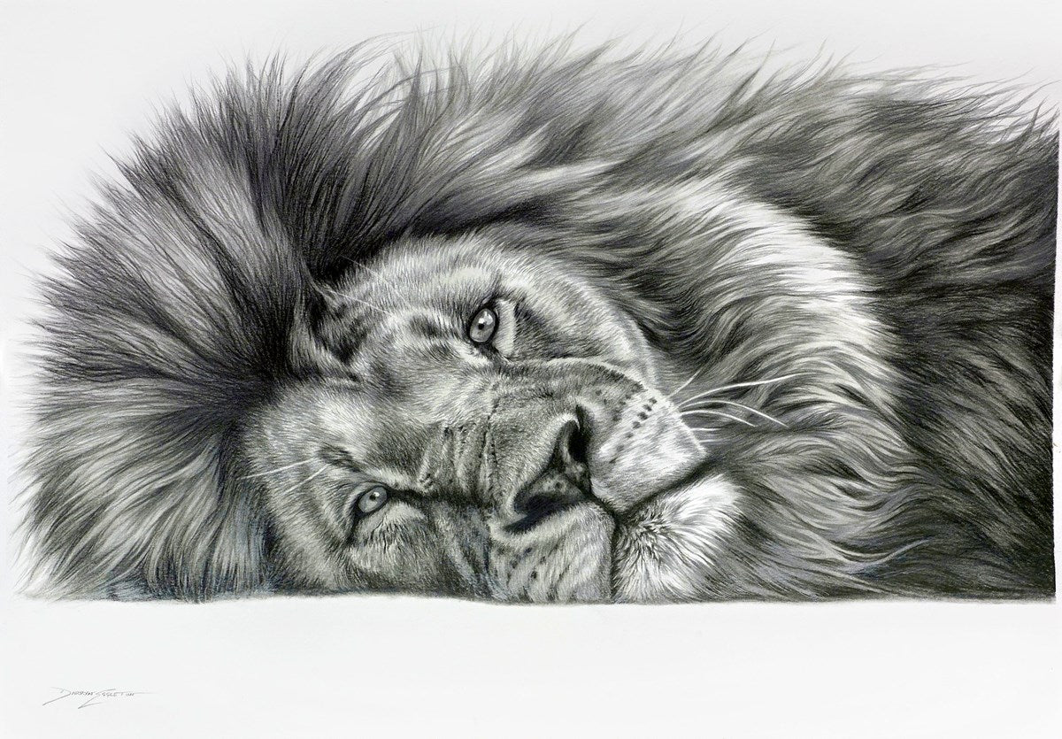 Relaxing Lion