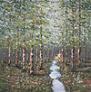 Among the White Bark III