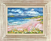 Flowers and Grasses,Borve Beach , Harris