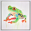 Tree Frog
