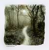 Enchanted Path(study)