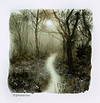 Enchanted Path(study)
