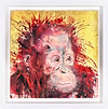 Baby Orangutan (Framed)