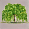 Willow II