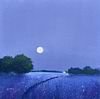 Moon Glow