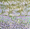 Bluebells on a Spring Day II