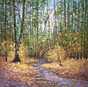 Colourful Woodland IV
