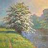 May Blossom Tree