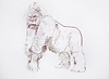 Silverback I Study