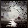 Chasing the Light (Framed)