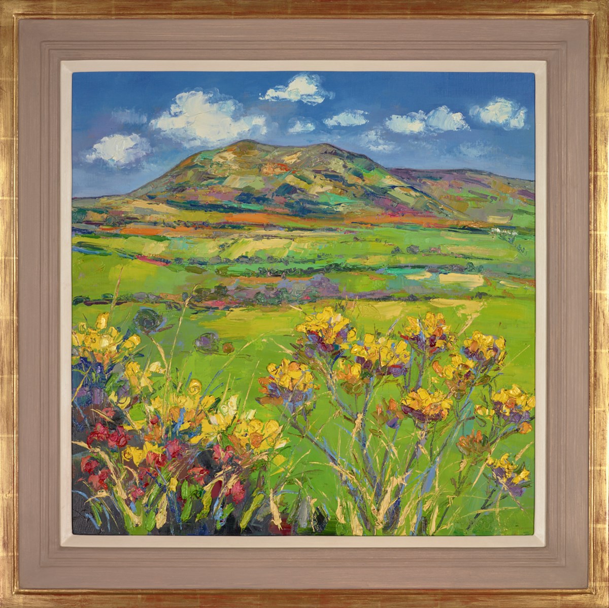Early Summer, Criffel, Dumfriesshire
