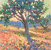 Olive Tree