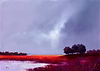 Farmland Pond