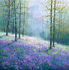 Campo de Lilas
