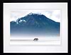 Mists of Time (Framed)