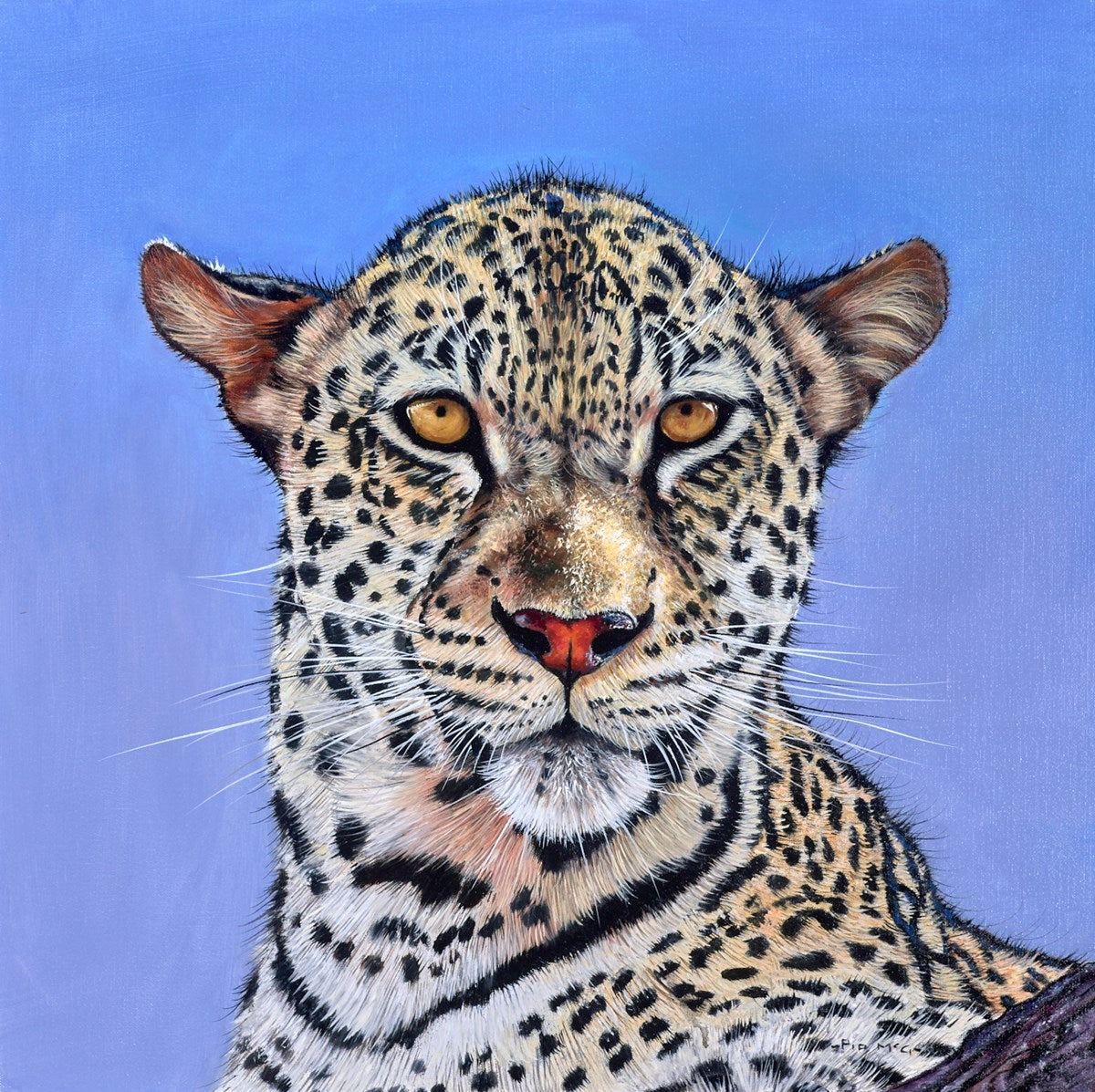 Leopard Portrait