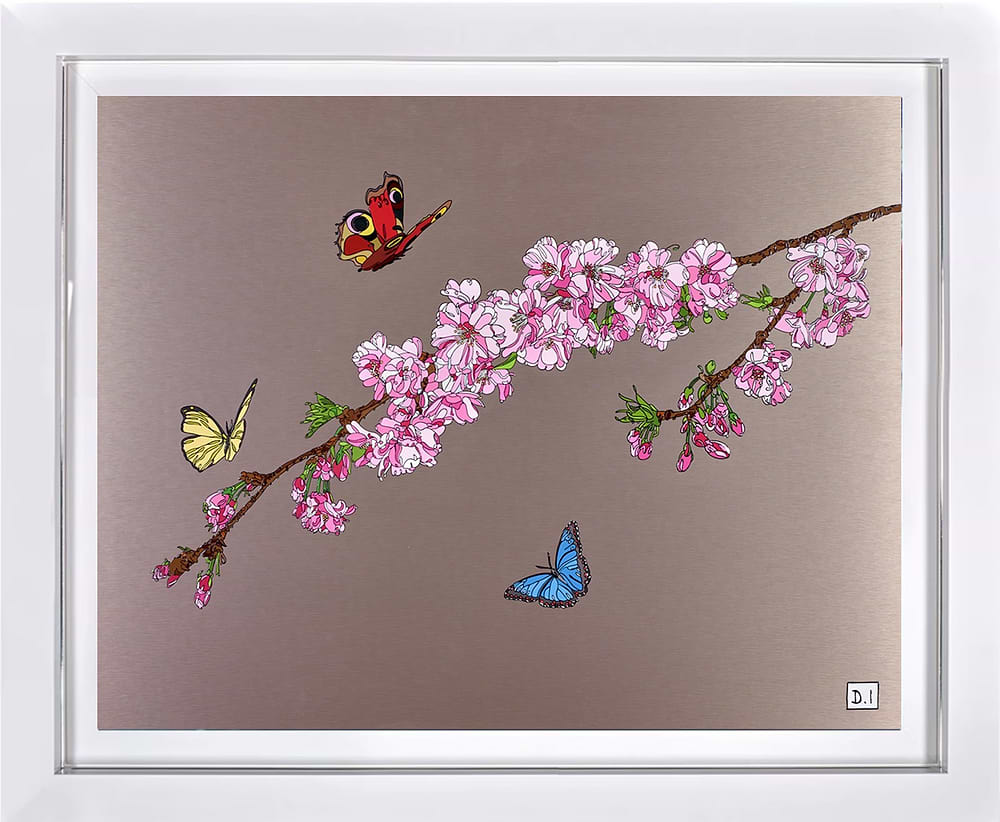 Blossoms And Butterflies