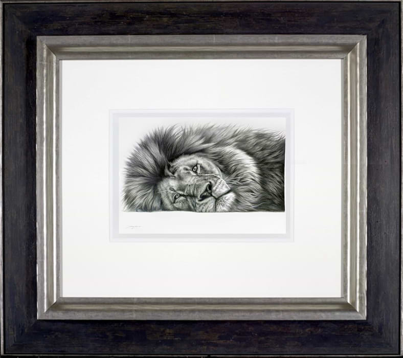 Relaxing Lion