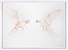 Flight Study III
