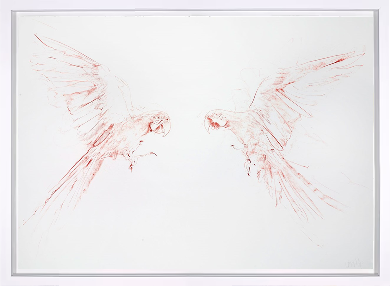 Flight Study III