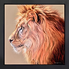 Bush King