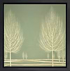 Silent Grove - Green V