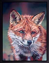 The Watchful Fox