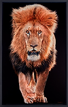 King Walk