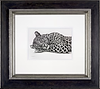 Lazing Leopard