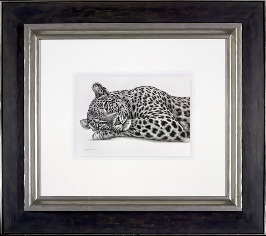 Lazing Leopard