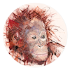 Young Orangutan (Study)