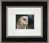 Twilight II (Framed)