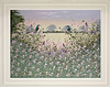 The Kingfishers (Framed)