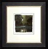 Natures Glory(study) (Framed)