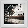 Seeking Adventure (Framed)