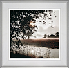 Seeking Adventure (Framed)