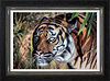 In the Shadows (Framed)