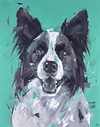 Collie Affection