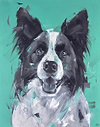 Collie Affection