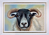 Ram (Framed)