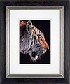Tiger (Framed)