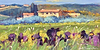 Fiori in Campo II