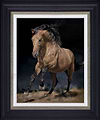Chasing the Wind (Framed)