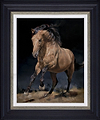 Chasing the Wind (Framed)
