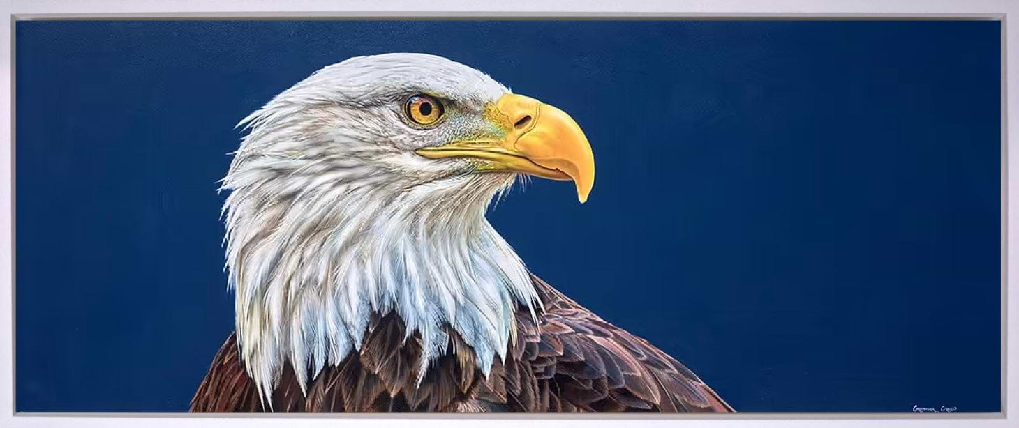 Bald Eagle with a side view popular on a bluish Gray background Acrylic Painting