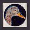 Duck Study III