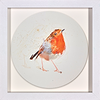 Robin Study IV