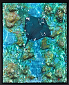 Stingrays Reef